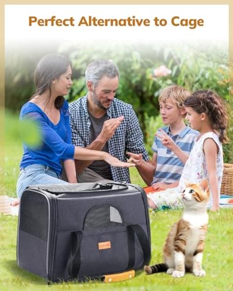 Morpilot Cat Carrier Soft - Portable Pet Carrier for Small or Medium Cats, Dogs and Puppy up to 14lbs, Airline Approved Dog Carrier with Safety Buckle and Foldable Bowl - 17 x 11 x