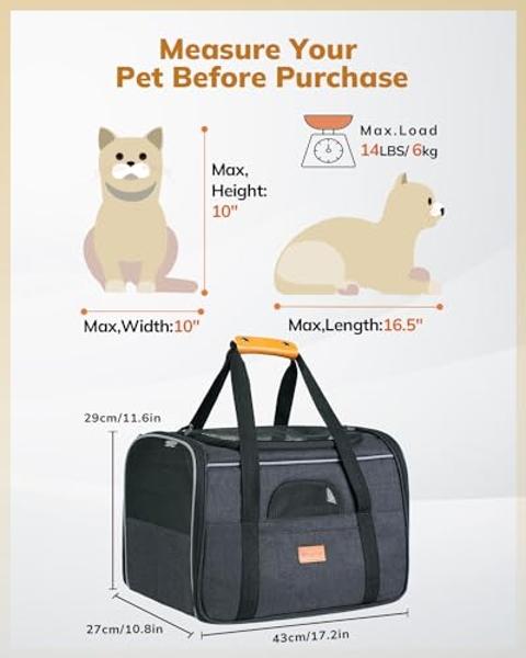Morpilot Cat Carrier Soft - Portable Pet Carrier for Small or Medium Cats, Dogs and Puppy up to 14lbs, Airline Approved Dog Carrier with Safety Buckle and Foldable Bowl - 17 x 11 x
