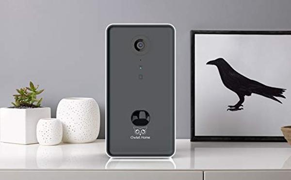 Owlet Home Pet Camera with Treat Dispenser/Tossing for Dogs/Cats, Smart Dog/Cat Camera, Free App, 2.4G & 5G WiFi, 1080P HD Live Video, Auto Night Vision, 2-Way Audio, Motion Alert,