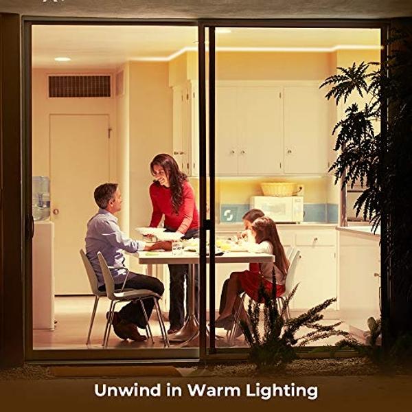 Govee Warm White LED Strip Lights, Bright 300 LEDs, 3000K Dimmable Light Strip 16.4ft with Control Box, LED Lights for Bedroom, Kitchen Cabinets, Living Room, ETL Listed Adapter In