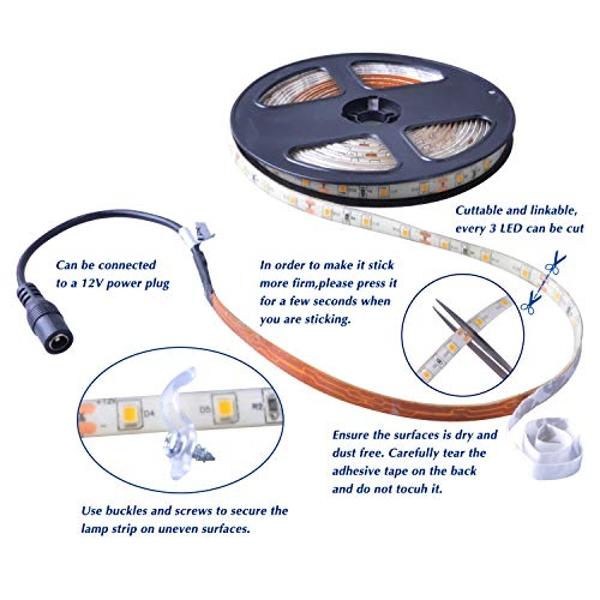 Lamomo LED Neon Lights, 32.8ft White Dimmable LED Rope Lights, 24V Waterproof LED Strip Lights, Silicone 6000K Flexible Neon Light Strip for Bedroom Indoor Home Decor (Power Adapte