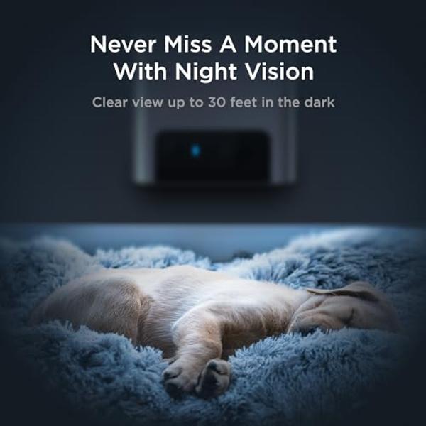 Petcube Bites 2 Lite Interactive WiFi Pet Monitoring Camera with Phone App and Treat Dispenser, 1080p HD Video, Night Vision, Two-Way Audio, Sound and Motion Alerts, Cat and Dog Mo