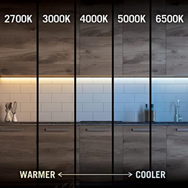 Armacost Lighting 152210 RibbonFlex Pro Series 60 LED Lights, 8.2 ft, 4000K,