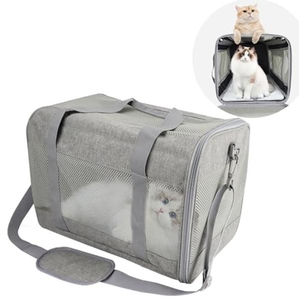 Prodigen Cat Carrier Dog Carriers for Small Dogs Soft Slided Airline Approved Collapsible Pet Travel Carrier, Small (16.3" L x 11.8" H x 12.4" W)