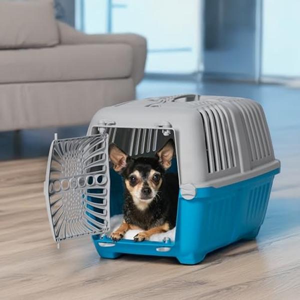 MidWest Homes for Pets Spree Travel Pet Carrier | Hard-Sided Pet Kennel Ideal for Toy Dog Breeds, Small Cats & Small Animals | Dog Carrier Measures 19.1L x 12.5 W x 13H - Inches