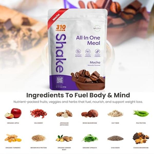 310 Nutrition Vegan Organic Plant Protein Powder and Meal Replacement Shake Gluten, Dairy and Soy Free - 0g of Sugar (14 Ounce (Pack of 1), MOCHA)