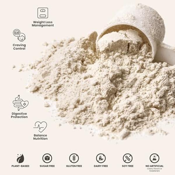 310 Nutrition Vegan Organic Plant Protein Powder and Meal Replacement Shake Gluten, Dairy and Soy Free - 0g of Sugar (14 Ounce (Pack of 1), MOCHA)