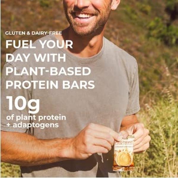 Laird Superfood Functional Protein Bars – Protein Bar but Better with Real Ingredients, Functional Mushrooms 10g Plant-Based Protein, 6g Fiber - Non-GMO - Peanut Butter, 10 Count (