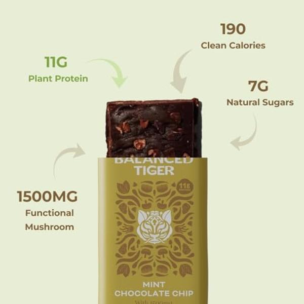 Organic Functional Mushroom Vegan Protein Bars | Made in USA | Full Dose (1500mg) Lions Mane, Chaga, Reishi & Cordyceps Bars | Plant Protein Bars w/ Adaptogens & Superfoods | Mint 