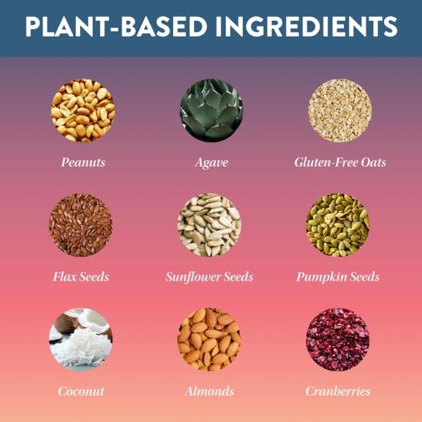Protein Puck Plant Based Bars | Snacks with Vegan Protein | 16 Count | 3.25 oz Full Size | Gluten Free, Non Dairy, Kosher Certified Non GMO Premium Healthy Bars | Wanderlust