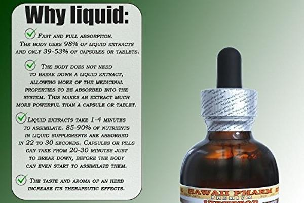 Hoodia Liquid Extract, Hoodia (Hoodia Gordonii) Tincture Supplement 4 oz