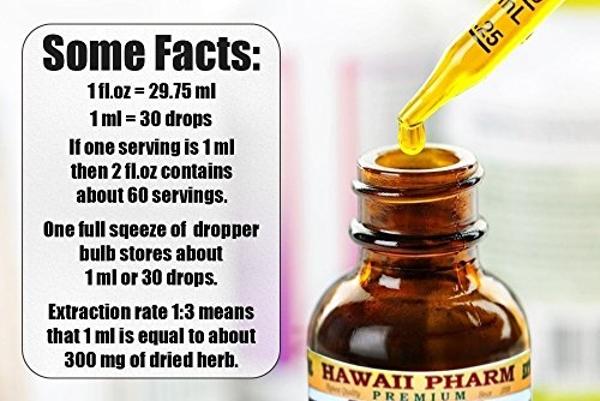 Hoodia Liquid Extract, Hoodia (Hoodia Gordonii) Tincture Supplement 2 oz