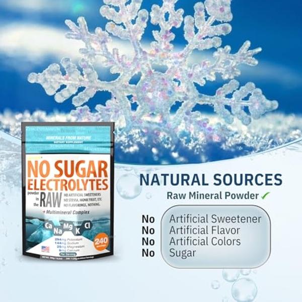 FAST LYTE No Sugar Electrolytes Powder in The Raw | Mix in Coffee, Soup, Juice, Water, Smoothies, Broth, Anything | No Sweeteners or Flavorings | Keto & Sugar Free | Non-GMO & Vega