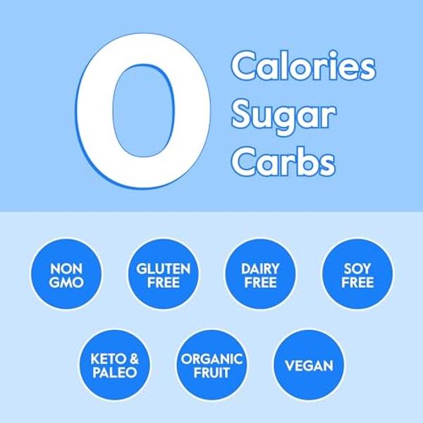FAST LYTE No Sugar Electrolytes Powder in The Raw | Mix in Coffee, Soup, Juice, Water, Smoothies, Broth, Anything | No Sweeteners or Flavorings | Keto & Sugar Free | Non-GMO & Vega