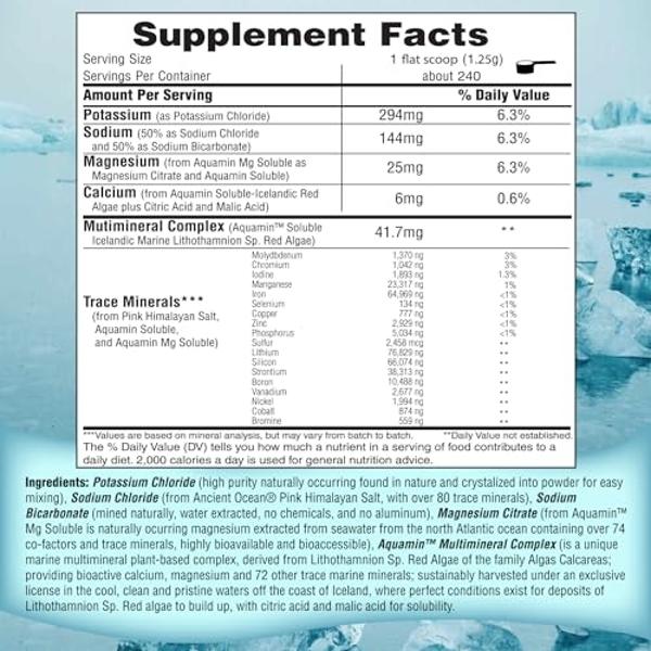 FAST LYTE No Sugar Electrolytes Powder in The Raw | Mix in Coffee, Soup, Juice, Water, Smoothies, Broth, Anything | No Sweeteners or Flavorings | Keto & Sugar Free | Non-GMO & Vega