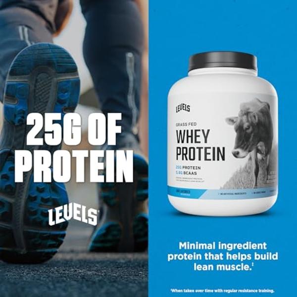 Ensure Max Protein Shake | French Vanilla | Meal Supplement Shake | Ready to Drink | 30g Protein for Muscle Building | 1g Sugar, 4g Fiber | 11 fl oz - 12 Pack