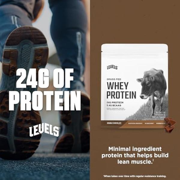 Body Fortress 100% Whey, Premium Protein Powder, Chocolate Peanut Butter, 1.78lbs (Packaging May Vary)