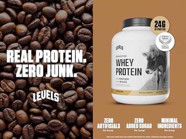 Orgain Organic Vegan Protein Powder, Cookies 'n Cream - 21g of Plant Based Protein, Low Net Carbs, Gluten Free, Lactose Free, No Sugar Added, Soy Free, Kosher, Non-GMO, 2.03 Lb