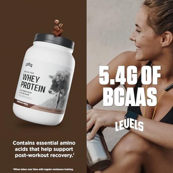 Optimum Nutrition Gold Standard 100% Whey Protein Powder, Double Rich Chocolate, 10 Pound (Packaging May Vary)
