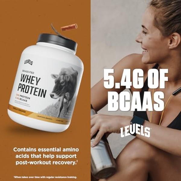 FlavCity Grass Fed Whey Protein Powder - Variety Pack - 25g Protein & 10g Collagen - 5 Single Serve Packets - Made with Organic Reishi & Cordyceps - Gluten Free & No Added Sugars