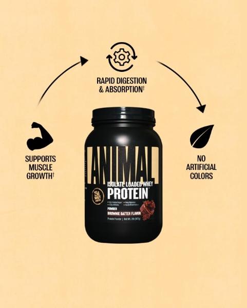 Animal Whey Isolate Protein Powder - Loaded for Pre & Post Workout Muscle Builder and Recovery with Digestive Enzymes for Men & Women - 25g Protein, Great Taste, Low Sugar - Browni