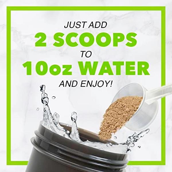 Ensure Plus Milk Chocolate Nutrition Shake With Fiber | Meal Replacement Shake | Ready To Drink | 16g Protein and 27 Vitamins and Minerals | 8 fl oz - 24 Pack