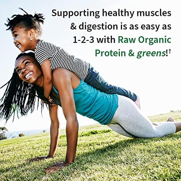 Garden of Life Raw Organic Protein & Greens Lightly Sweet, Vegan Protein Powder for Women and Men, Plant Protein, Pea Protein, Greens & Probiotics, Dairy Free, Gluten Free Low Carb