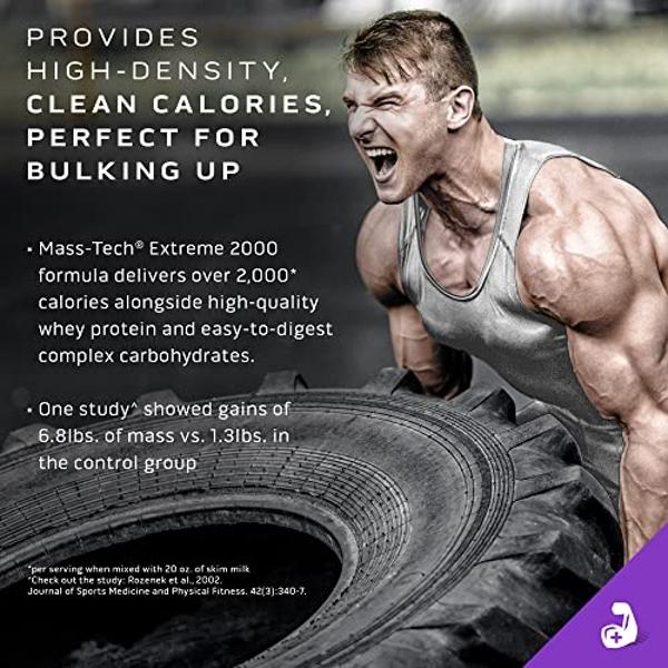 Optimum Nutrition Gold Standard Pro Gainer, Weight Gainer Protein Powder, Vanilla Custard, 5.09 Pounds (Packaging May Vary)