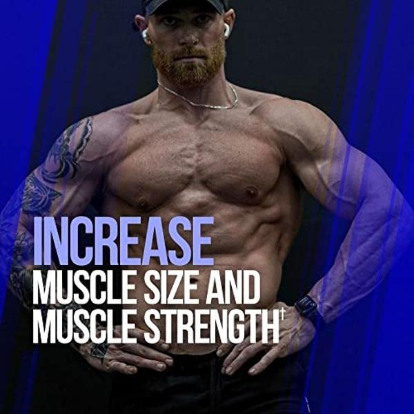 ALPHA LION Gains Candy, Supplement Pills for Muscle Growth, Size, & Strength, Nitric Oxide Booster, Muscle Builder, Use Daily to Upgrade Energy & Workout Performance, 60 Capsules (