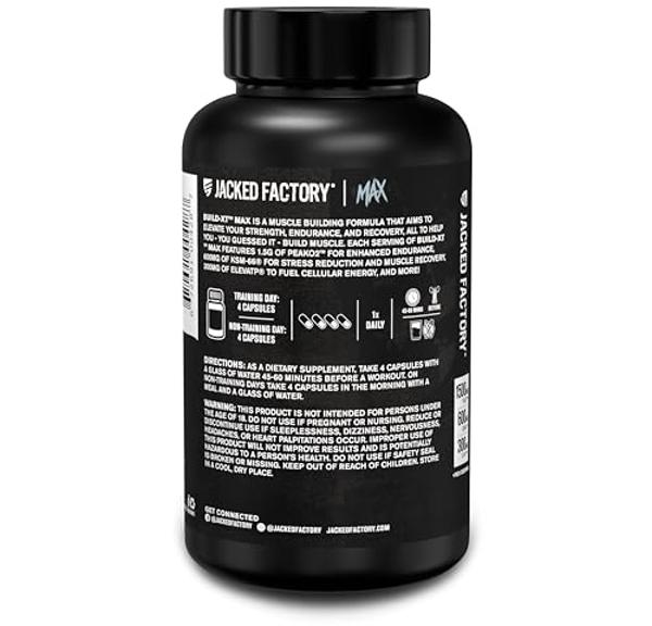 ALLMAX QUICKMASS, Cookies & Cream - 10 lb - Rapid Mass Gain Catalyst - Up to 64 Grams of Protein Per Serving - 3:1 Carb to Protein Ratio - Zero Trans Fat - Up to 70 Servings