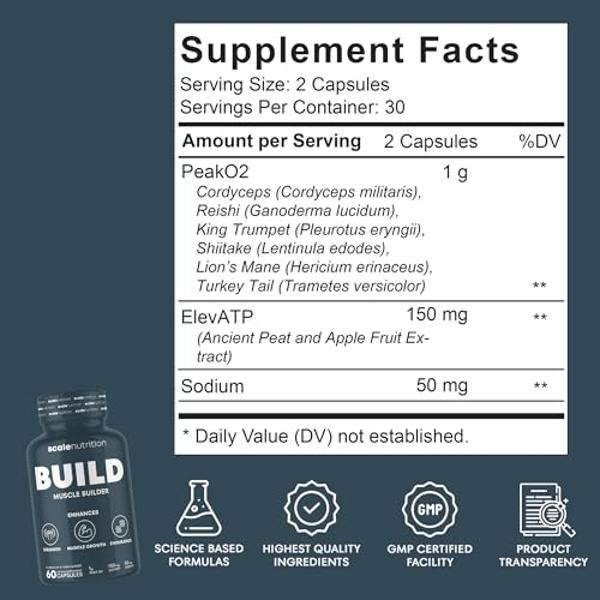 BSN TRUE-MASS Weight Gainer, Muscle Mass Gainer Protein Powder, Chocolate Milkshake, 10.38 Pound (Package May Vary)