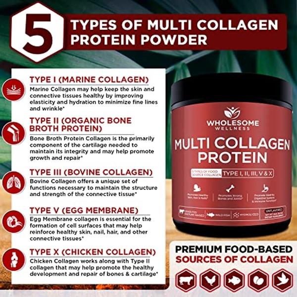 Wholesome Wellness Multi Collagen Protein Powder Hydrolyzed (Type I II III V X) Grass-Fed All-in-One Super Bone Broth + Peptides - Premium Blend of Beef, Chicken, Wild Fish, Eggshe