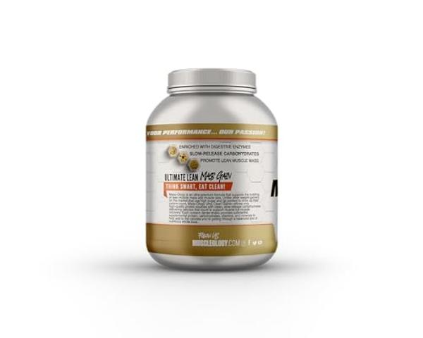 NutraBio Extreme Mass Gainer Protein Powder, 53G Protein, Clean Weight Gainer, Increase Muscle Mass, Full Spectrum Amino Acid - Vanilla, 6 Pound