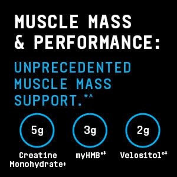 BEYOND RAW Dynamic Gainer | High-Tech Mass Gainer | Optimized Absorption, Enhanced Strength, and Joint Stability | Vanilla Cheesecake | 15 Servings