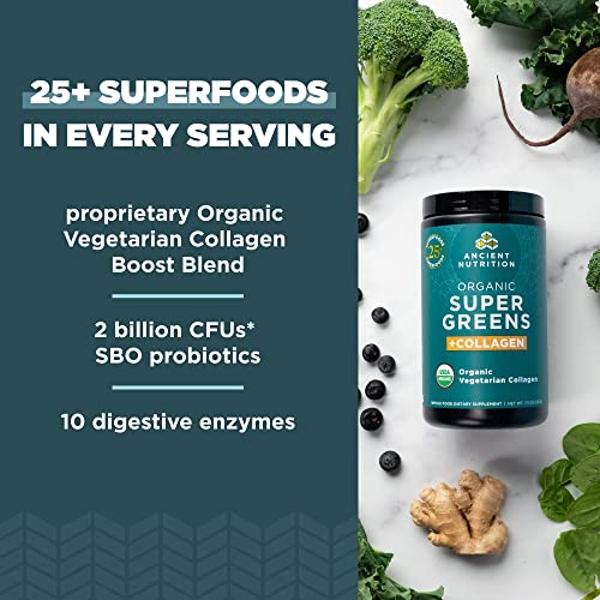 Primal Kitchen Chocolate Collagen Fuel® Drink Mix, Chocolate Coconut Collagen Peptides, No Dairy or Artificial Sweeteners, 20 Ounces