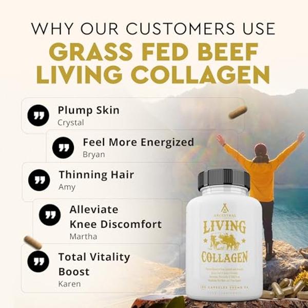 NativePath Collagen Peptides - Hydrolyzed Type 1 & 3 Collagen. Keto & Paleo Grass-Fed Protein Powder for Hair, Skin, Nails, Bones, Joints, Digestion and More - No Gluten or Dairy (