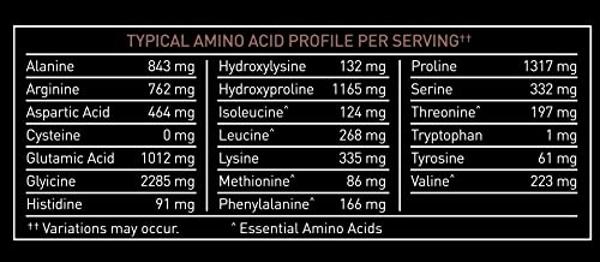 Premium Multi Collagen Peptides Protein Powder (1, 2, 3, 5 & 10) with Vitamin C, Biotin, Hyaluronic Acid, for Hair Skin and Nails - Marine, Bovine, Chicken & Eggshell (Chocolate, 4