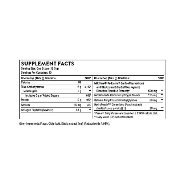 THORNE Collagen Plus - Collagen Peptides Powder with Nicotinamide Riboside and Clinically Studied Ingredients for Skin Texture and Moisture - Healthy Skin, Hair, and Nails* - 17.5 