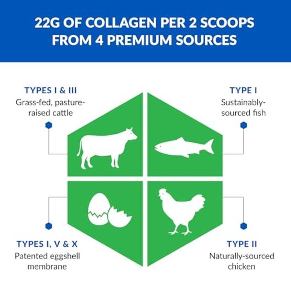 BioTrust Ageless Multi Collagen Peptides Powder – 5 Types (I, II, III, V, X) – Vanilla Collagen Powder for Women & Men – Hydrolyzed Protein – Grass Fed Beef, Fish, Chicken, Eggshel