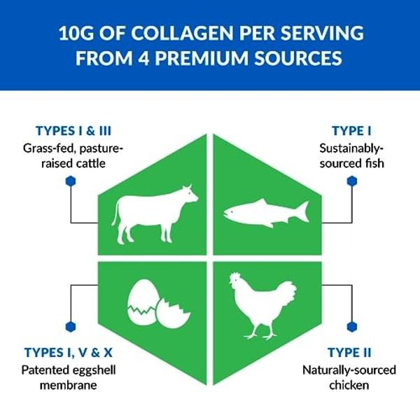 BioTrust Collagen Powder with Turmeric – 5 Types (I, II, III, V, X) – Turmeric Collagen Powder for Women & Men – Hydrolyzed Protein – Grass Fed Beef, Fish, Chicken, Eggshell Membra
