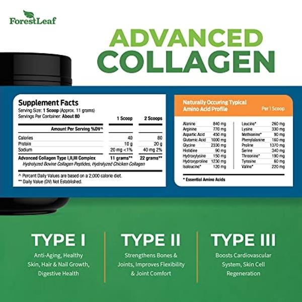 Double Wood Supplements Marine Collagen Powder (1 LB / 16 OZ of Quick Dissolve Marine Collagen Peptides) Wildcaught, Unflavored, Micronized - Scoop Included, No Fillers (38 Serving