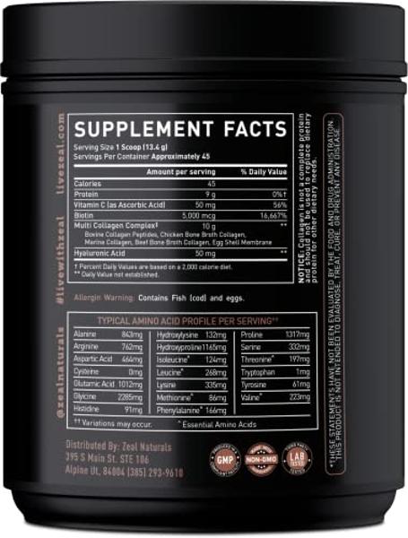 Premium Multi Collagen Peptides Protein Powder (1, 2, 3, 5 & 10) with Vitamin C, Biotin, Hyaluronic Acid, for Hair Skin and Nails - Marine, Bovine, Chicken & Eggshell (Chocolate, 4