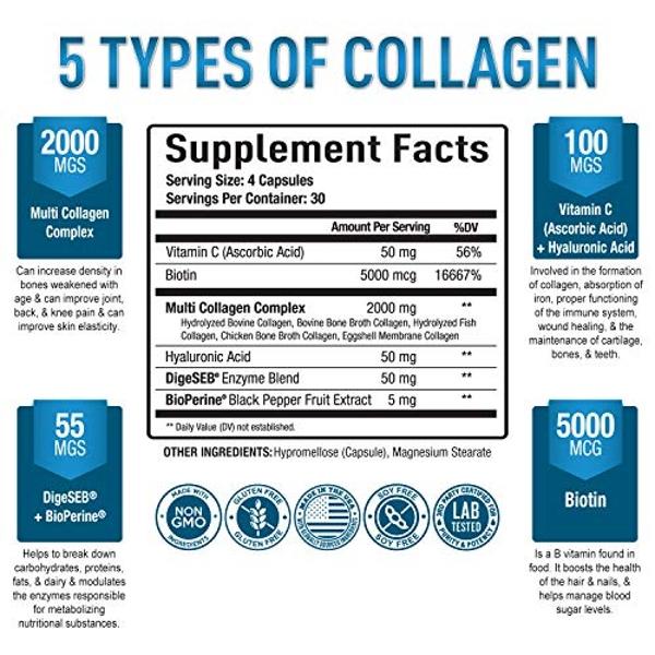 Hydrolyzed Collagen Peptides Powder - 1 lb Grass-Fed & Pasture-Raised Collagen for Women, Type I & III Unflavored Bovine Collagen Powder for Men, Collagen Protein Powder For Hair, 