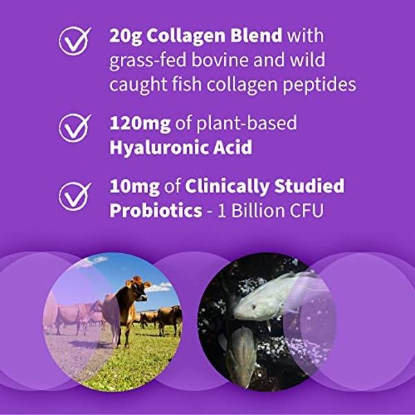 Multi Collagen Peptides - Hydrolyzed Types I, II, III, V & X - Collagen Supplement for Women 1300mg - w/ Hyaluronic Acid, Vitamins C & E - Skin, Hair, Nails & Joint Support - Made 