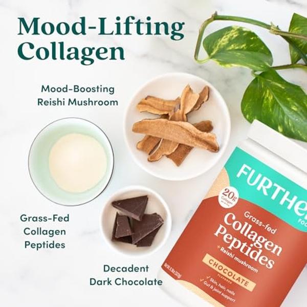 Further Food Chocolate Collagen Peptides Powder Stick Packs, Grass-Fed Pasture-Raised Hydrolyzed Type 1 & 3 Protein, Gut Health + Joint, Hair, Skin, Nails, Paleo Keto Sugar-Free 9.