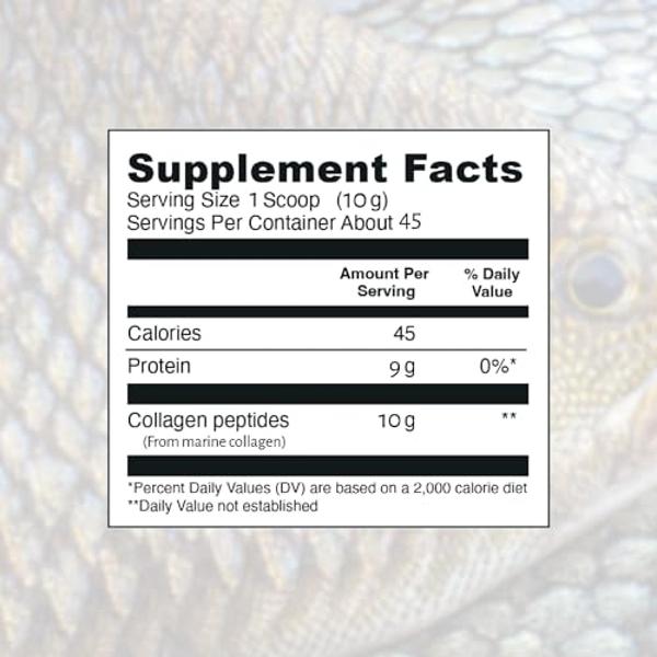 HEARTHY FOODS Marine Collagen Powder 16 Oz - Sourced from Wild-Caught Fish, Pescatarian Friendly, Keto Certified & Non-GMO Verified - Easy to Mix in Water - 45 Servings