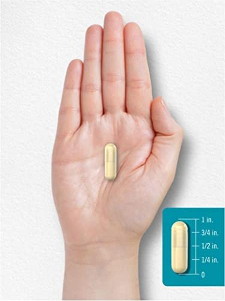 Carlyle Chicken Sternum Cartilage Collagen Capsules | Type II 3000mg | 120 Pills | with Hyaluronic Acid | Non-GMO, Gluten Free