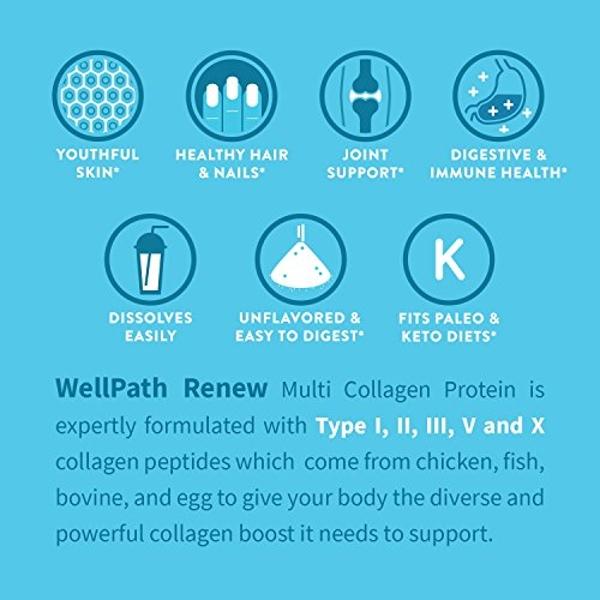 WellPath Renew Multi Collagen Protein Powder for Women | Complex Supplement - Hydrolyzed Grass-Fed Bovine, Marine, & Chicken Sources Collagen Peptides | Types I, II, III, V, X | 11