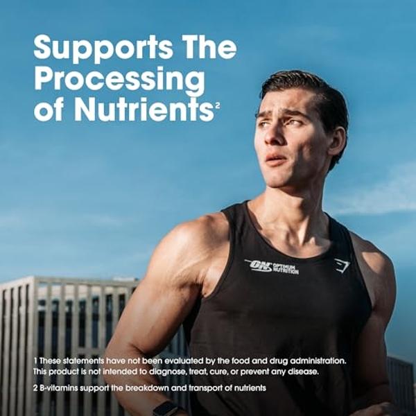 Optimum Nutrition Opti-Men Daily Multivitamin for Men, Immune Support Supplement with Amino Acids, 80 Day Supply, 240 Count, (Packaging May Vary)