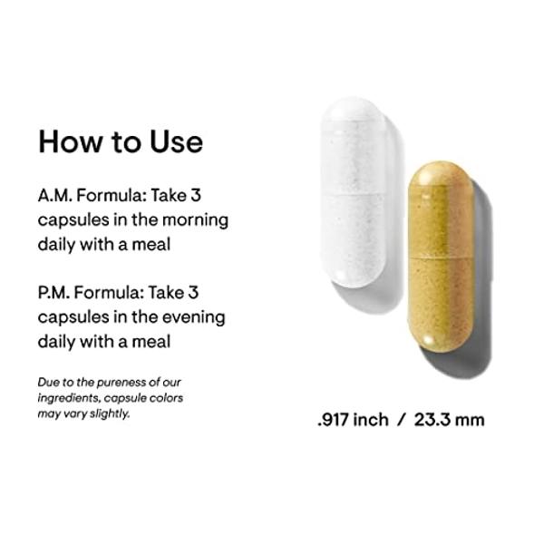Methyl Multi Without Iron Methylated Multivitamin for Men & Women, 60-Day Supply | Methyl B12 & Methylfolate (5-MTHF) for MTHFR Support | Pharma Grade Multivitamin & Multimineral F